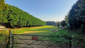 DEVELOPMENT Plot in Peacehaven photo